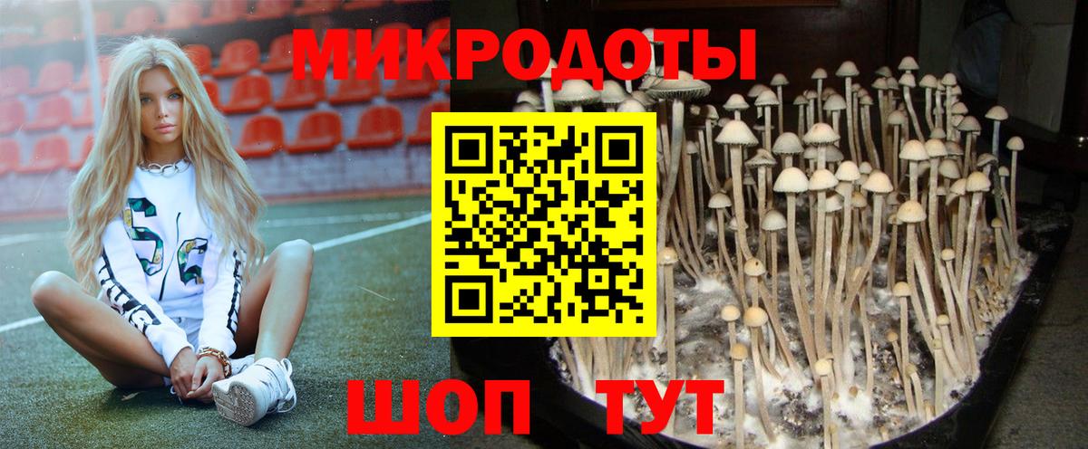 Лыткарино  Галлюциногенные грибы Magic Shrooms  купить наркоту  Вход с VPN 